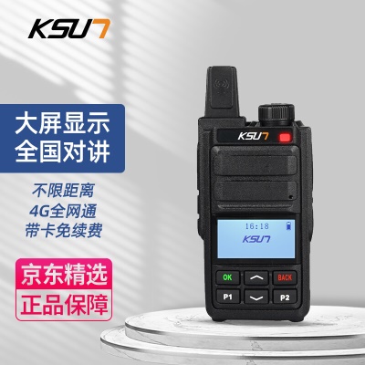 CT3【高性价比款式】免续费