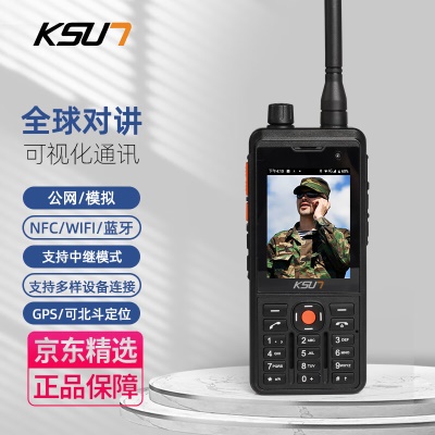 全球双模对讲【公网/模拟】