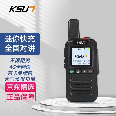 CT1【经济实惠款式】免续费