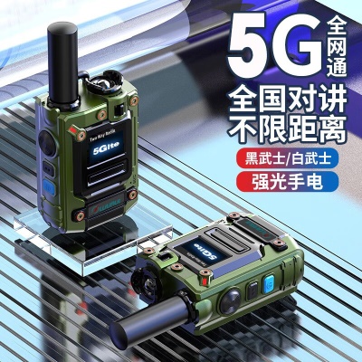 武瑞K300坦克（无费用版）